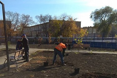 Осталось высадить большую ель